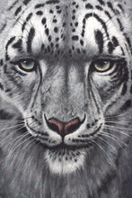 Load image into Gallery viewer, 2011 Snow Leopard T-shirt