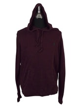Load image into Gallery viewer, Ralph Lauren Brand Hoodie