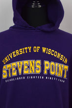 Load image into Gallery viewer, University Of Wisconsin Hoodie