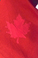 Load image into Gallery viewer, Niagara Falls Hoodie