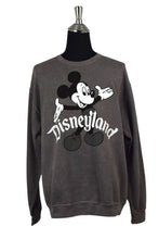 Load image into Gallery viewer, Grey Disneyland Sweatshirt