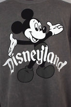 Load image into Gallery viewer, Grey Disneyland Sweatshirt