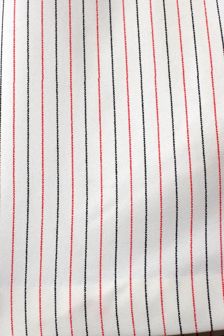Striped Skirt