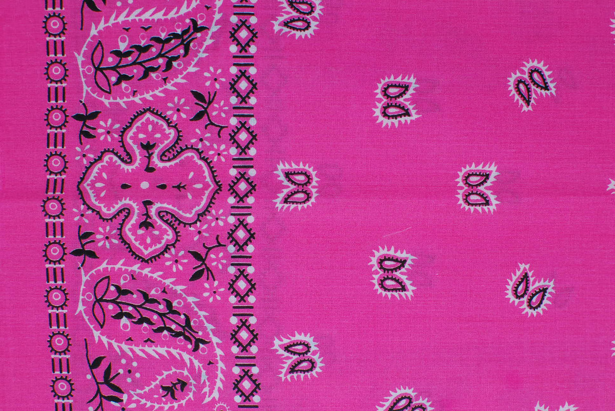 Paisley Border Bandanas