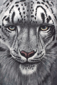 2011 Snow Leopard T-shirt