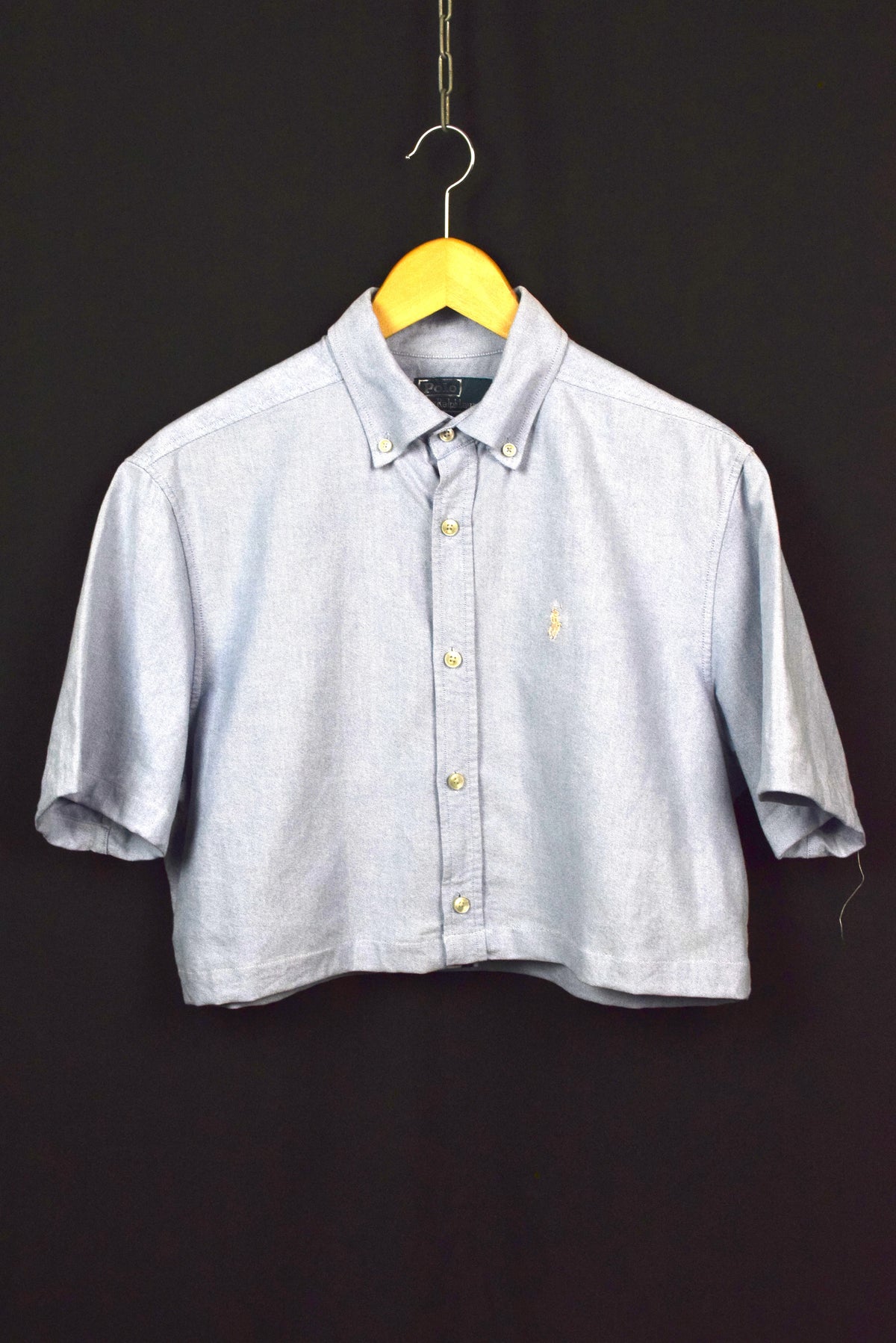 Reworked Ralph Lauren Brand Crop Top