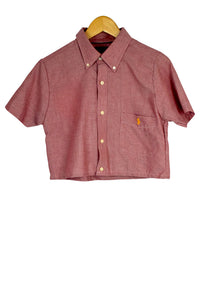 Reworked Ralph Lauren Brand Crop Top