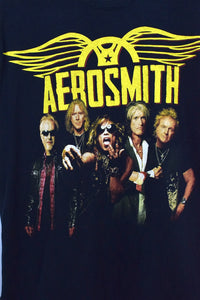 2012 Aerosmith The Global Warming Tour! T-shirt