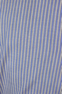 Blue Striped Shirt