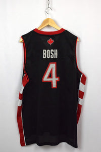 Chris Bosh Toronto Raptors NBA Jersey