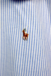 Reworked Cropped Ralph Lauren Brand Top