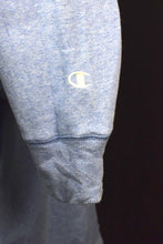 Load image into Gallery viewer, Walt Disney World Hoodie
