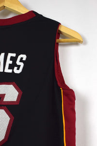 LeBron James Miami Heat NBA Jersey