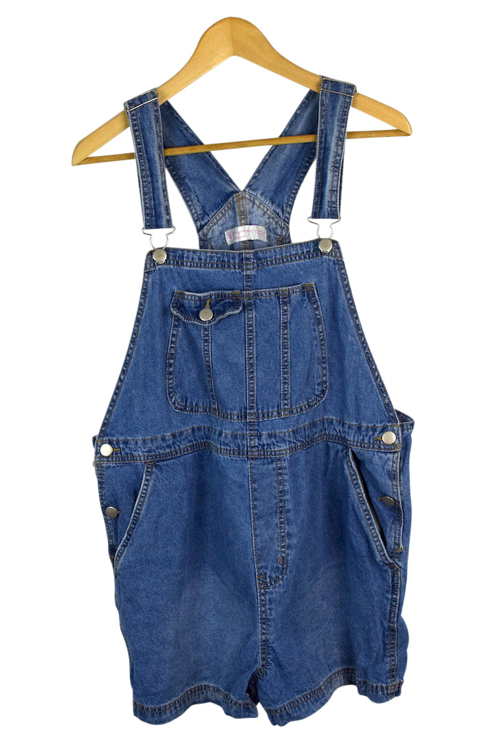 No Boundaries Brand Denim Overalls