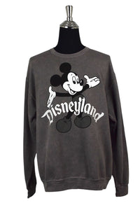 Grey Disneyland Sweatshirt