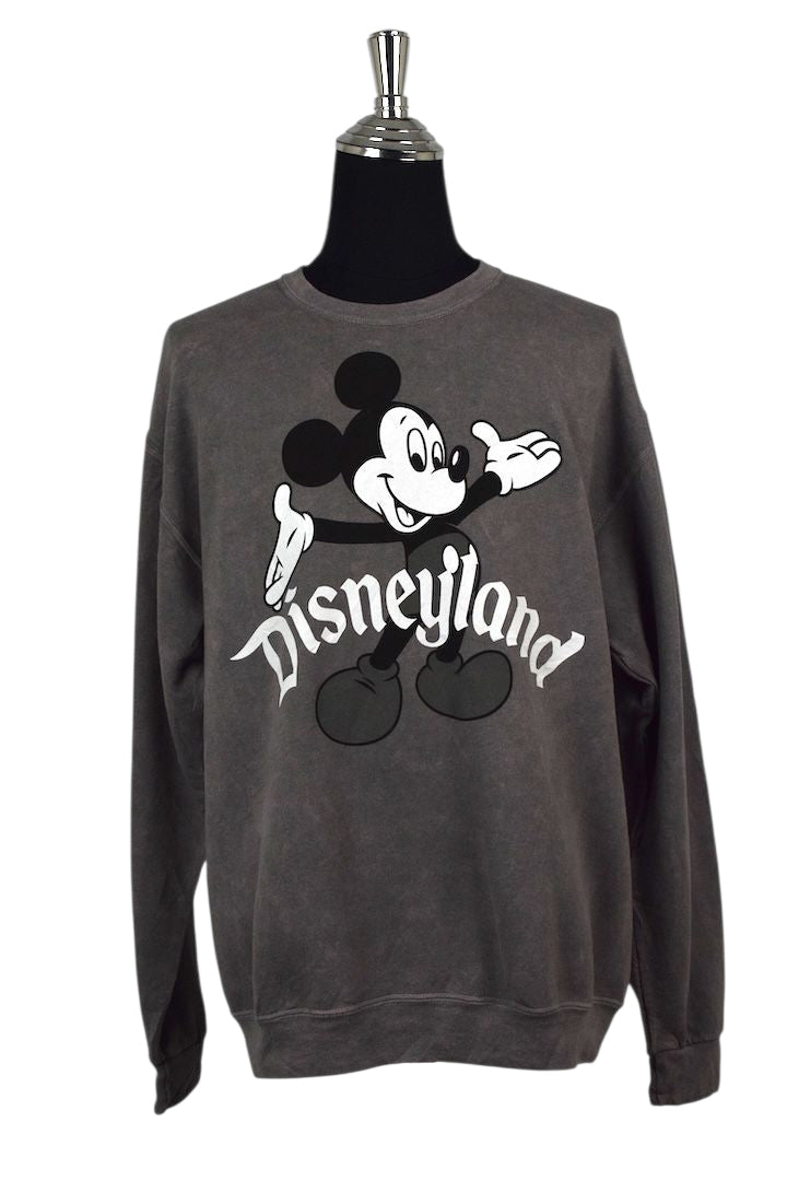 Grey Disneyland Sweatshirt