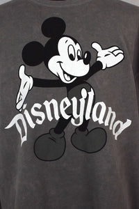Grey Disneyland Sweatshirt