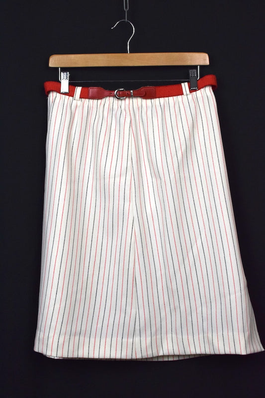 Striped Skirt