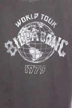Load image into Gallery viewer, Replica 1973 Billabong World Tour T-shirt
