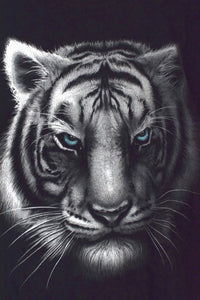 White Tiger T-shirt