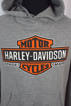Load image into Gallery viewer, Harley-Davidson Brand Hoodie
