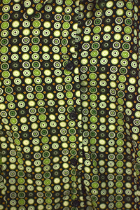 Green Circle Print Blouse