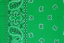 Load image into Gallery viewer, Paisley Border Bandanas
