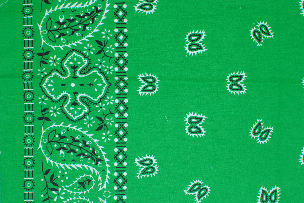 Paisley Border Bandanas
