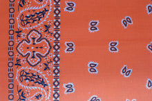 Load image into Gallery viewer, Paisley Border Bandanas
