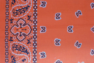 Paisley Border Bandanas