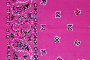 Paisley Border Bandanas