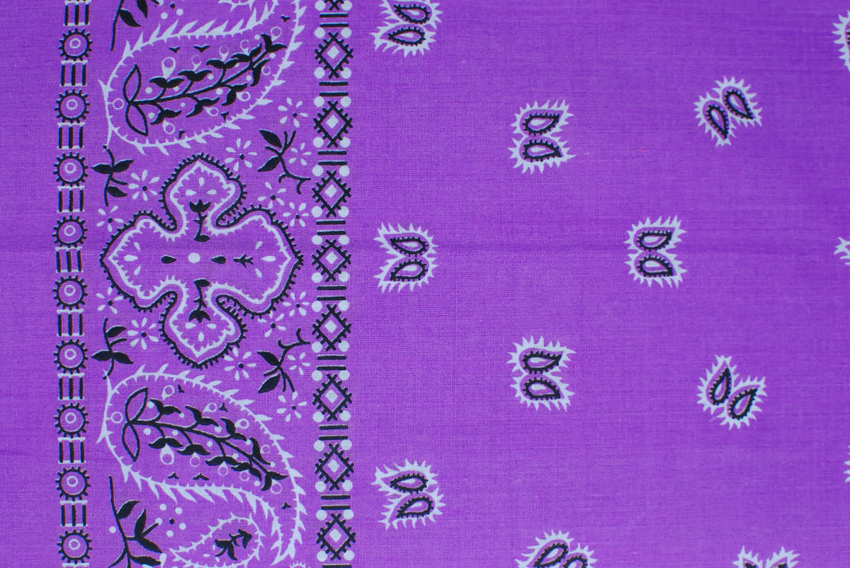 Paisley Border Bandanas
